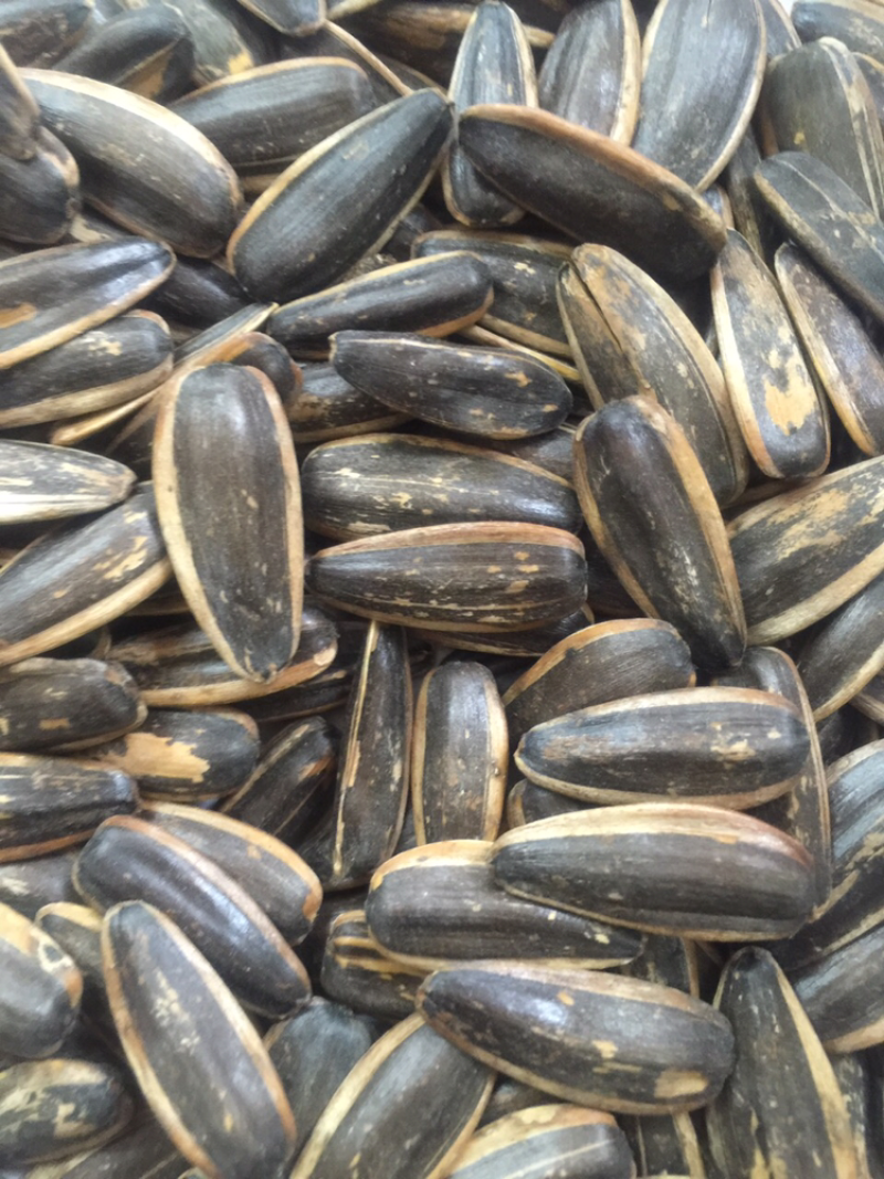 瓜子是最好的多味瓜子零食的最快