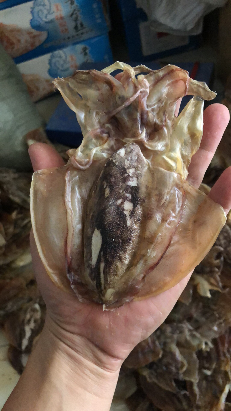墨鱼纯淡干
