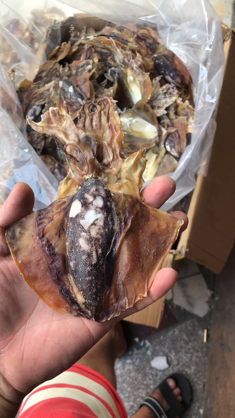墨鱼纯淡干