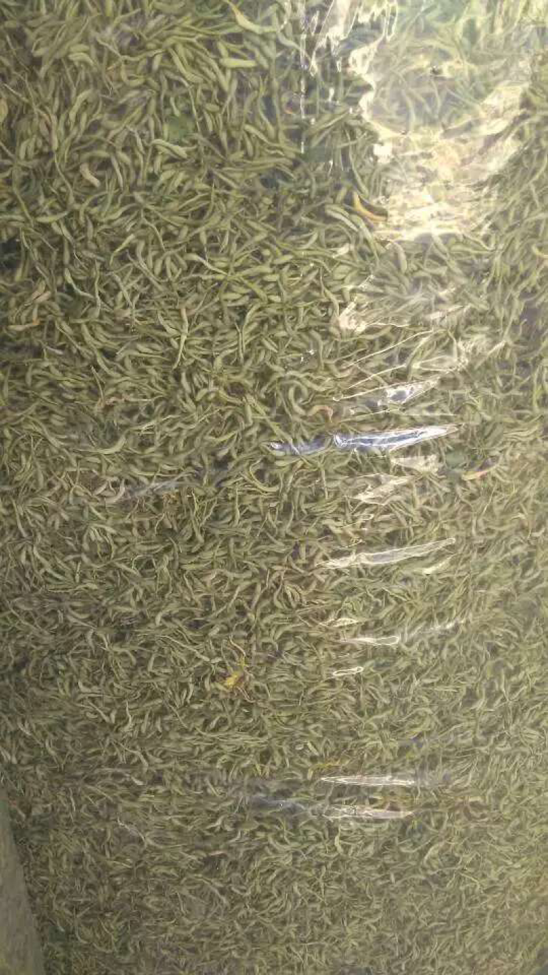 龙辉药材