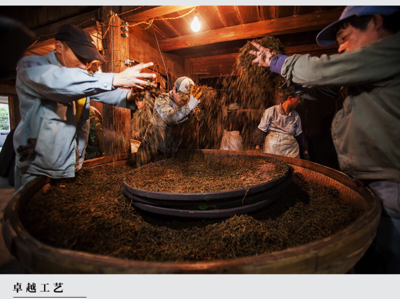 福建武夷山红茶金观音正山小种茶叶红茶散装批发小种红茶