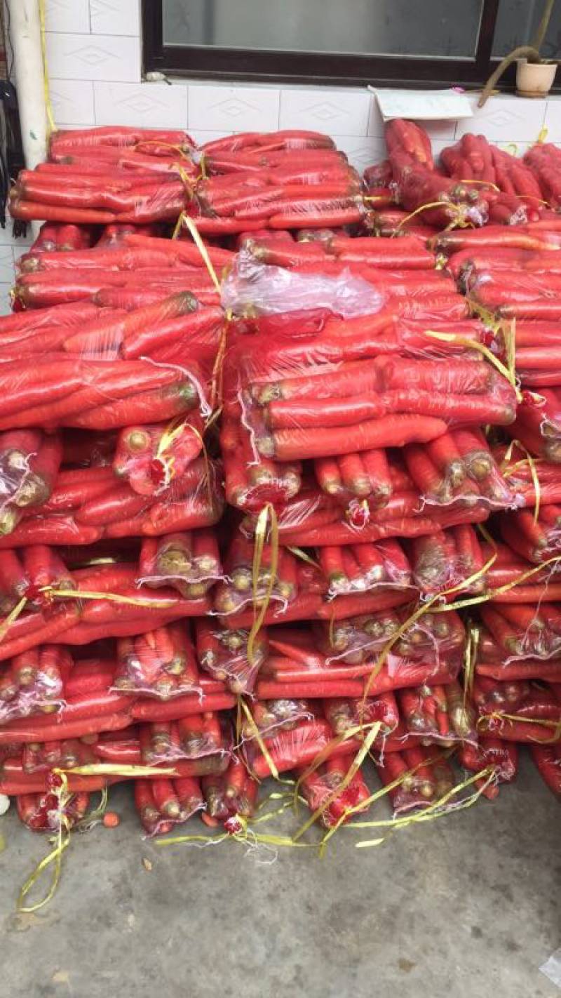 大量供应精品小袋红萝卜🥕！