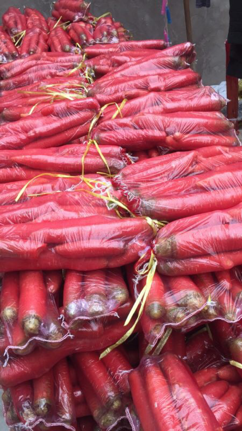 大量供应精品小袋红萝卜🥕！