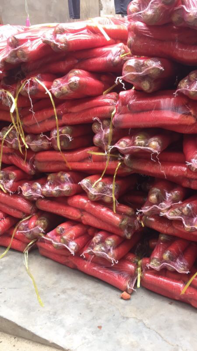 大量供应精品小袋红萝卜🥕！
