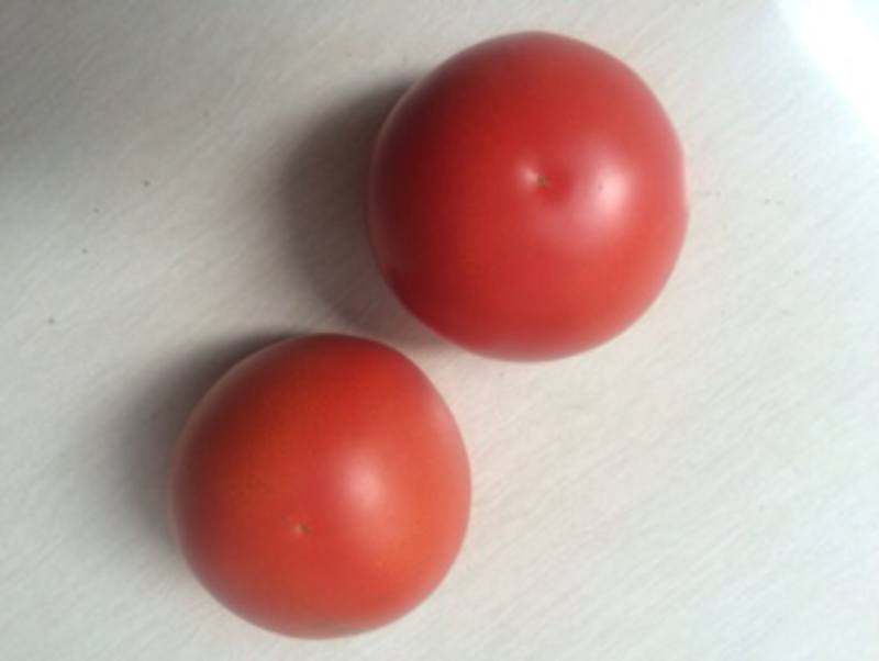 番茄种子，基地主栽品种，西红柿种子