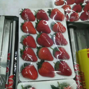 草莓熟了