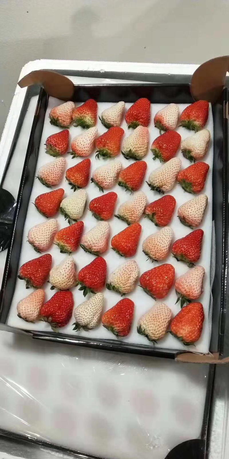 草莓熟了