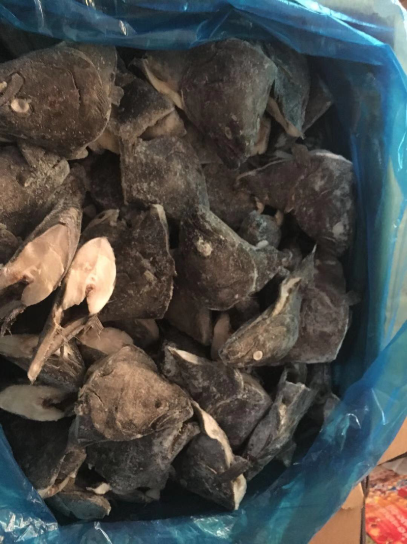比目鱼食用冻鱼