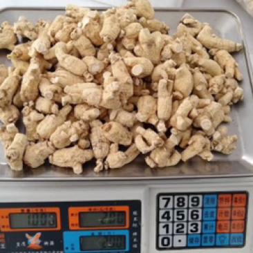 西洋参粒头包邮花旗参足干新货味浓新货