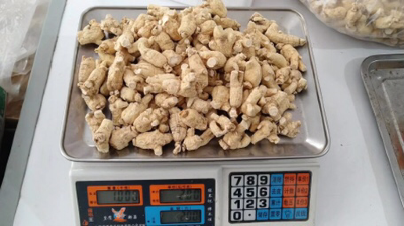西洋参粒头包邮花旗参足干新货味浓新货