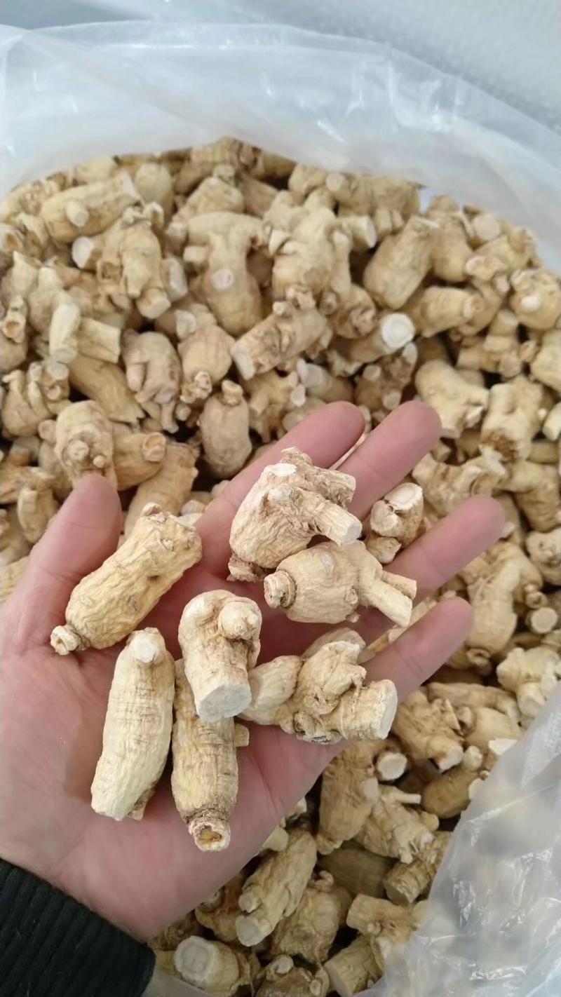 西洋参粒头包邮花旗参足干新货味浓新货