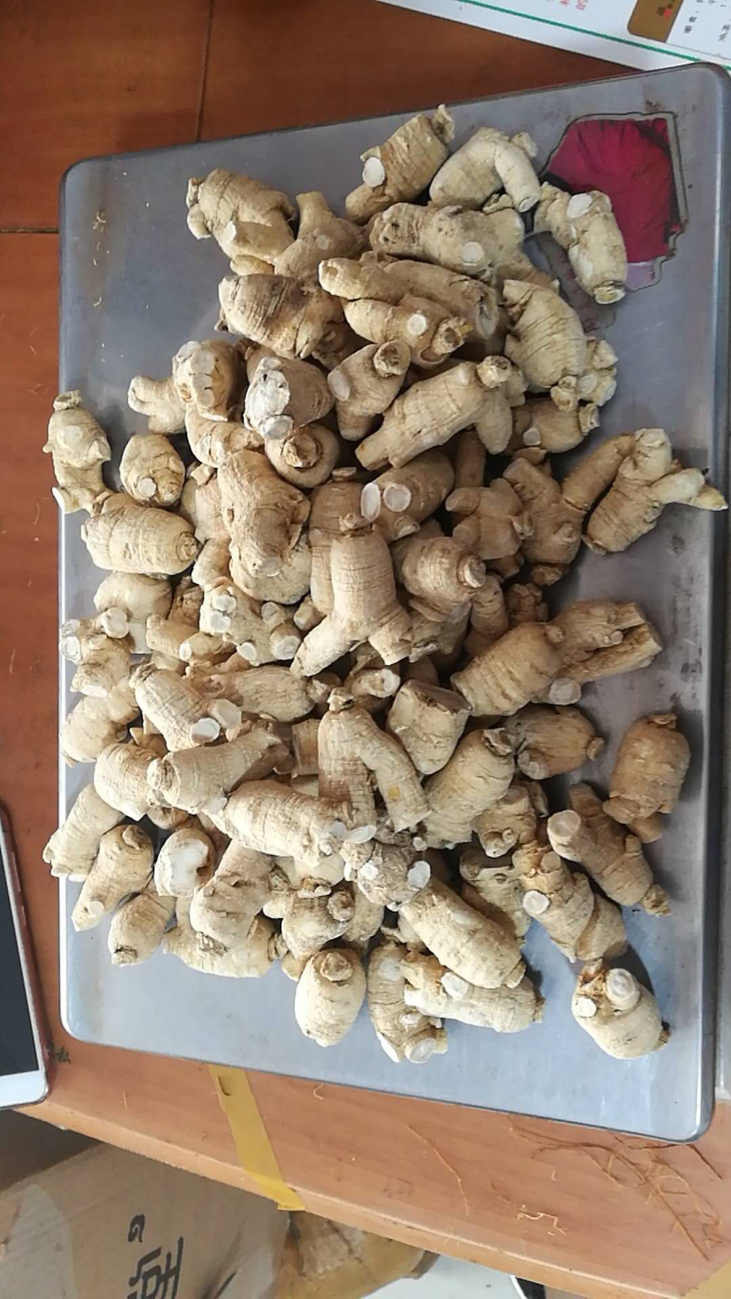 西洋参粒头包邮花旗参足干新货味浓新货