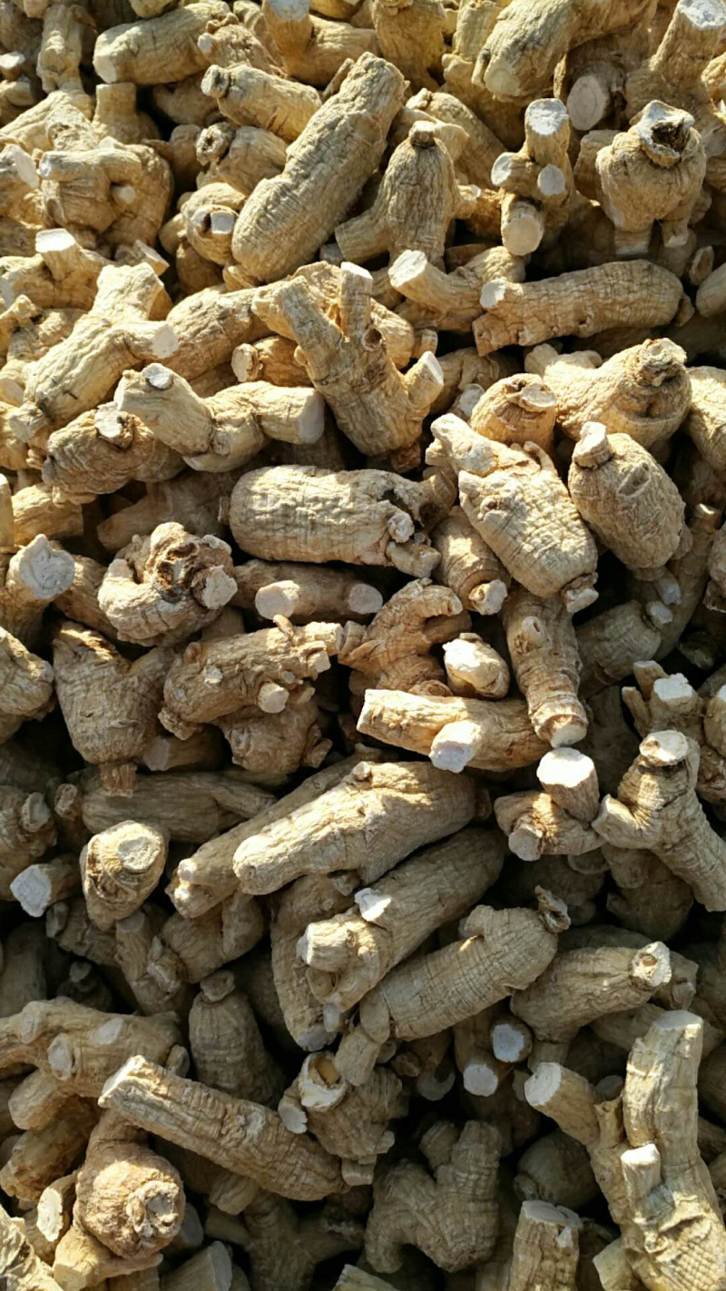 西洋参粒头包邮花旗参足干新货味浓新货