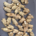 西洋参粒头包邮花旗参足干新货味浓新货