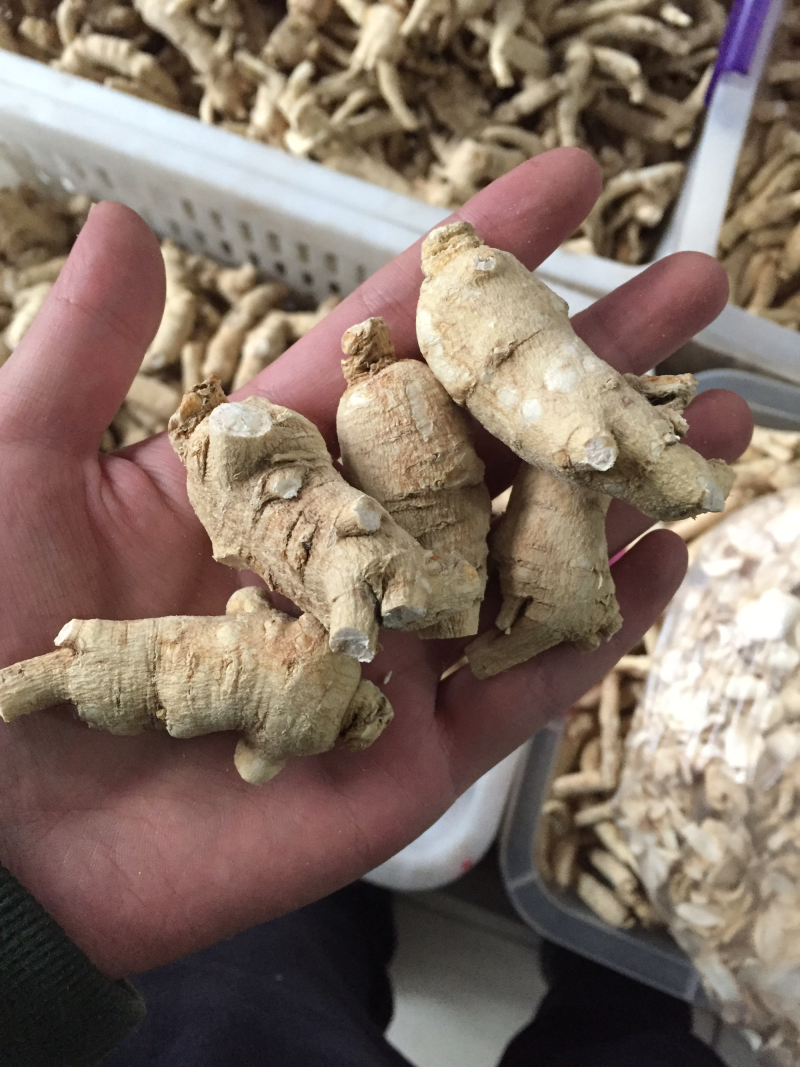 西洋参粒头包邮花旗参足干新货味浓新货