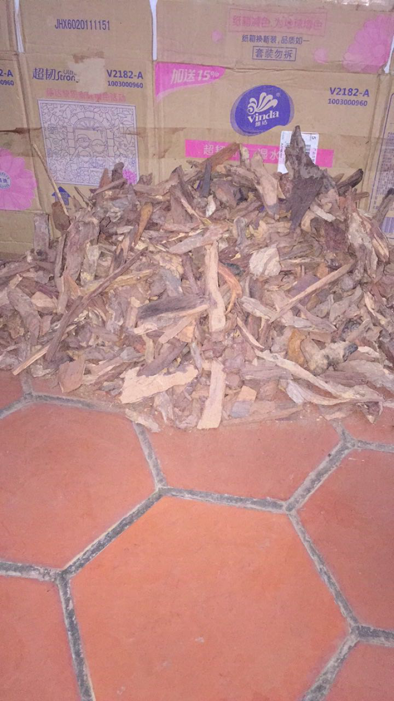 降香黄檀