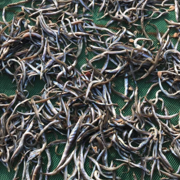 油滚鱼小鱼干