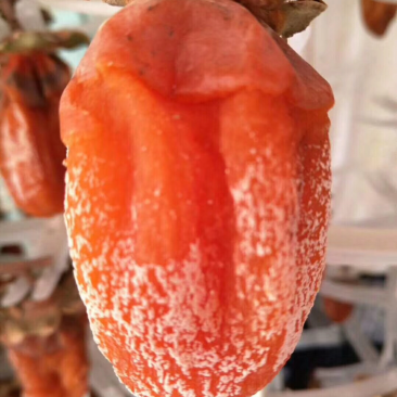 陕西富平农家柿饼