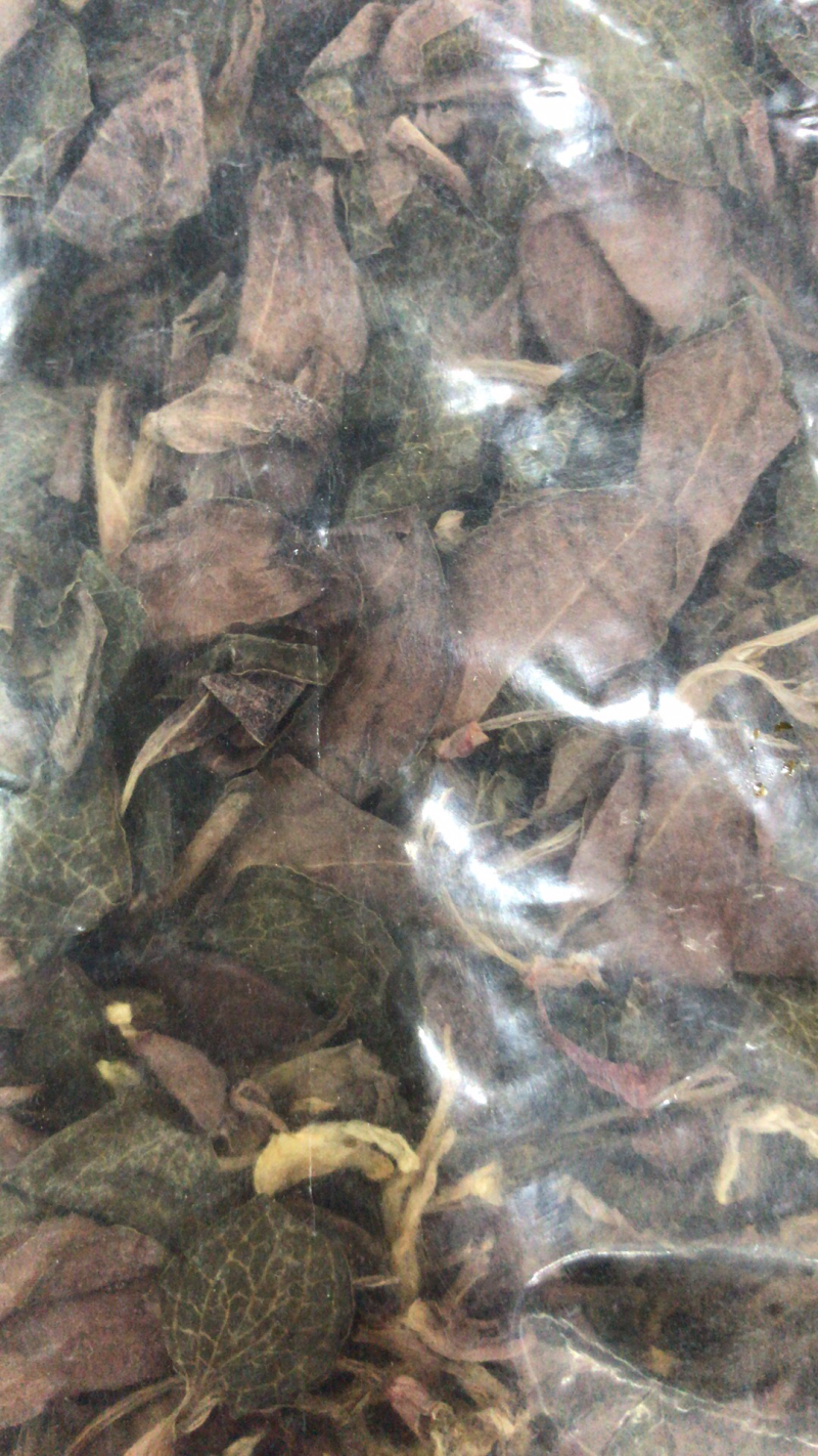 金线莲