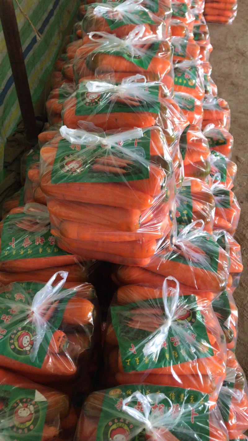 基地红萝卜大量有货支持任何规格包装