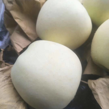 黄元帅量大果面干白净