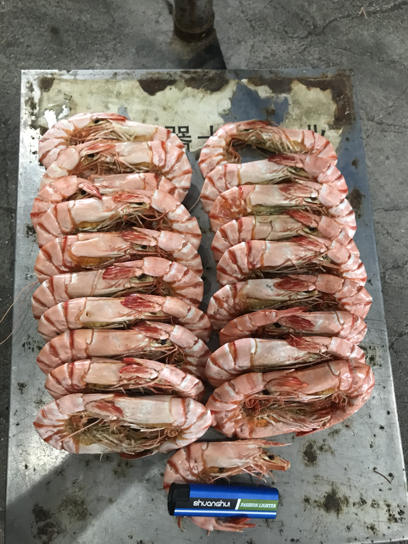 野生九节虾干