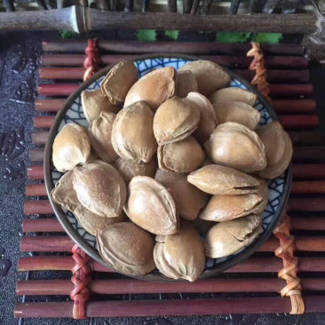 精品五香手剥杏仁