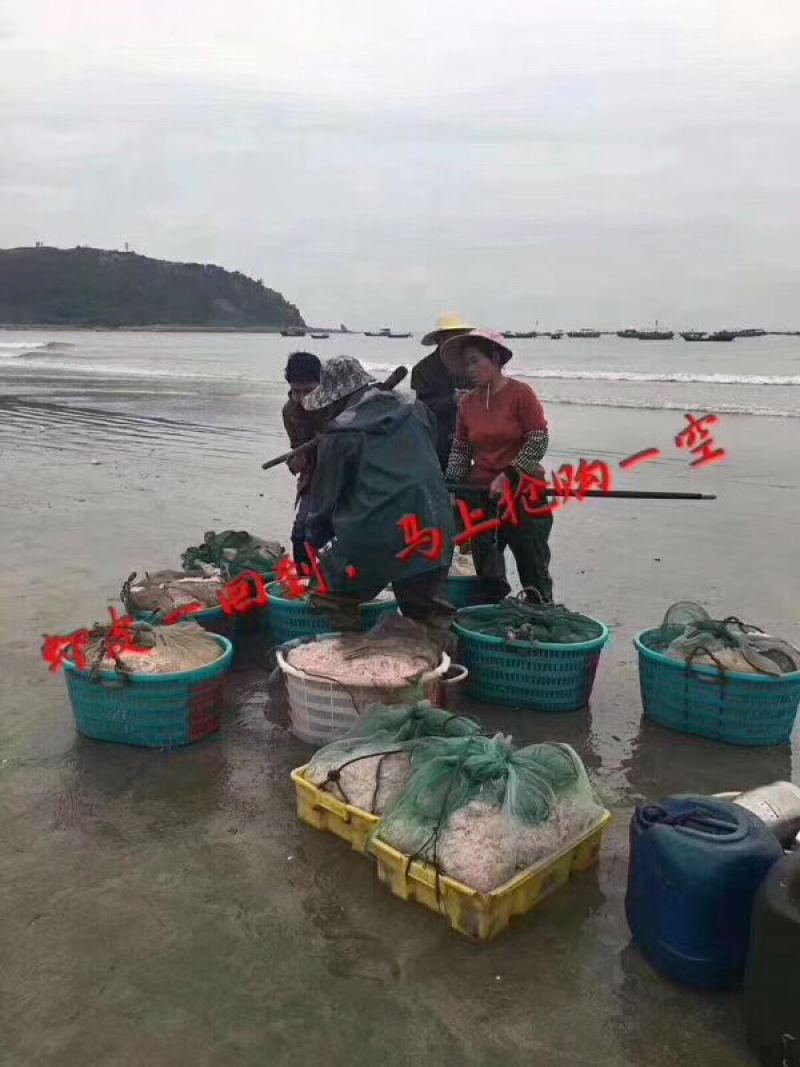 海虾米干