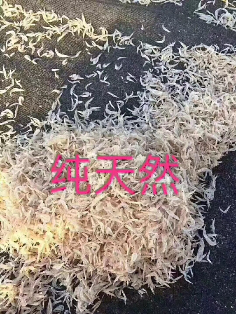 海虾米干