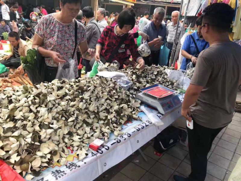 青皮陈皮三花青皮新货干货当年新鲜上市纯干货