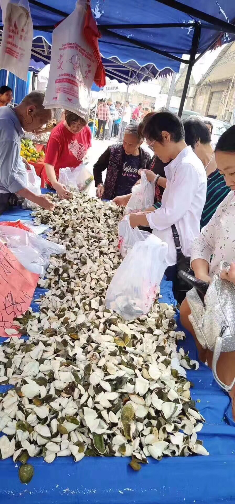 青皮陈皮三花青皮新货干货当年新鲜上市纯干货