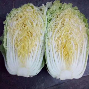 北京新三号白菜