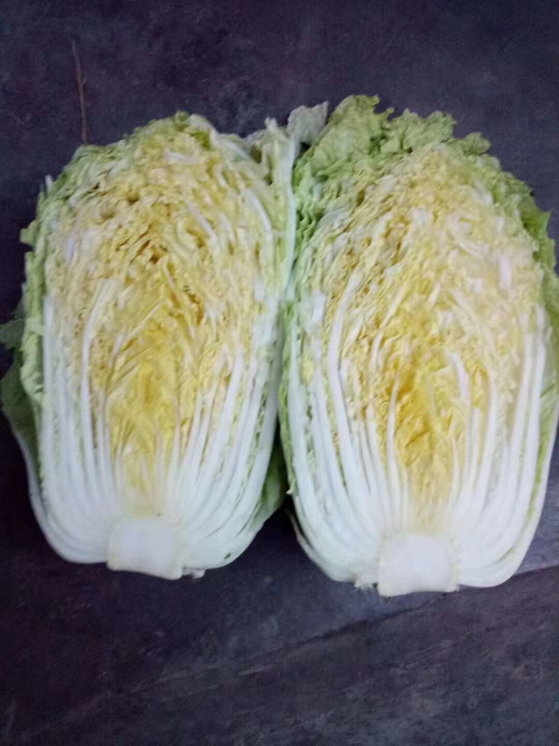 北京新三号白菜