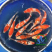 供应锦鲤水花，公分苗，成品鱼。