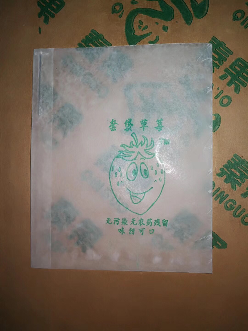 草莓草莓袋草莓套袋