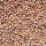 高粱，等级区分