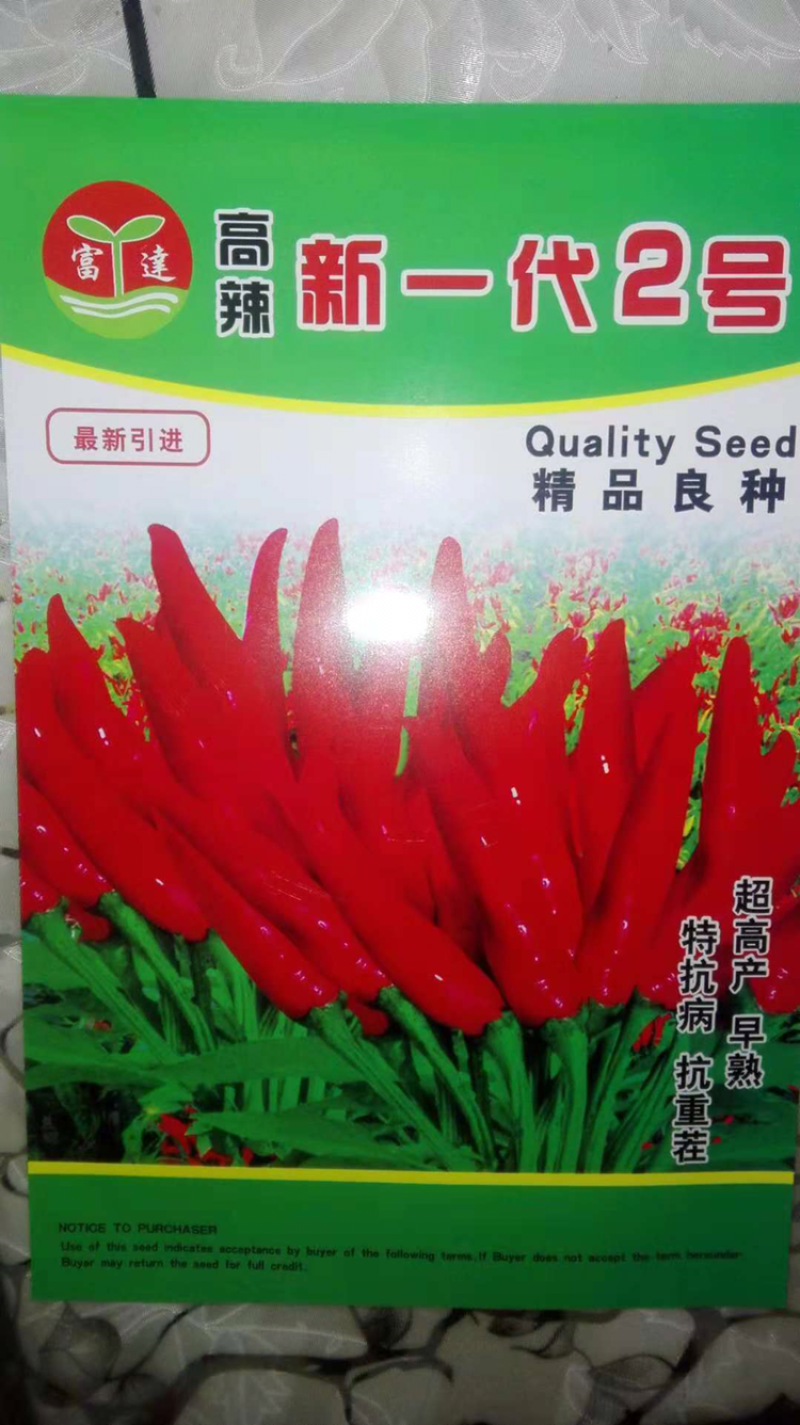 辣椒种子