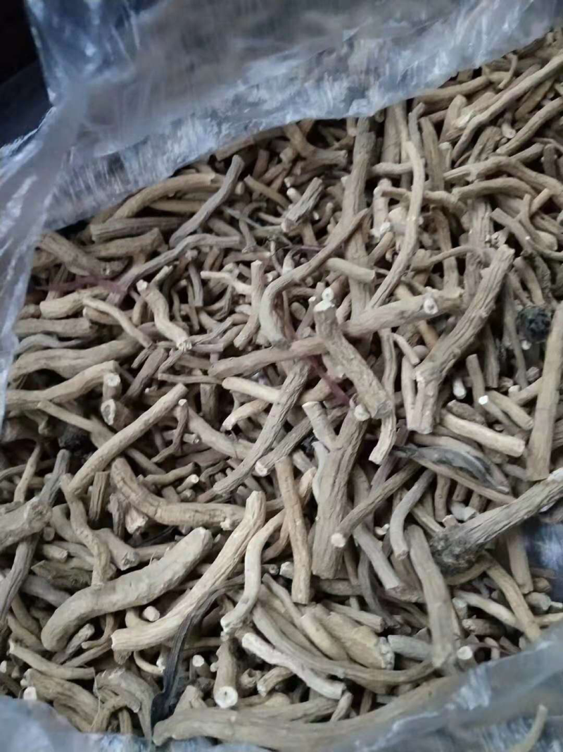 甘肃酒泉金塔板蓝根可代办药厂货饮片货大青叶