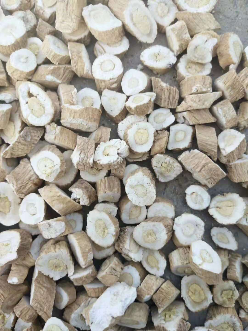甘肃酒泉金塔板蓝根可代办药厂货饮片货大青叶