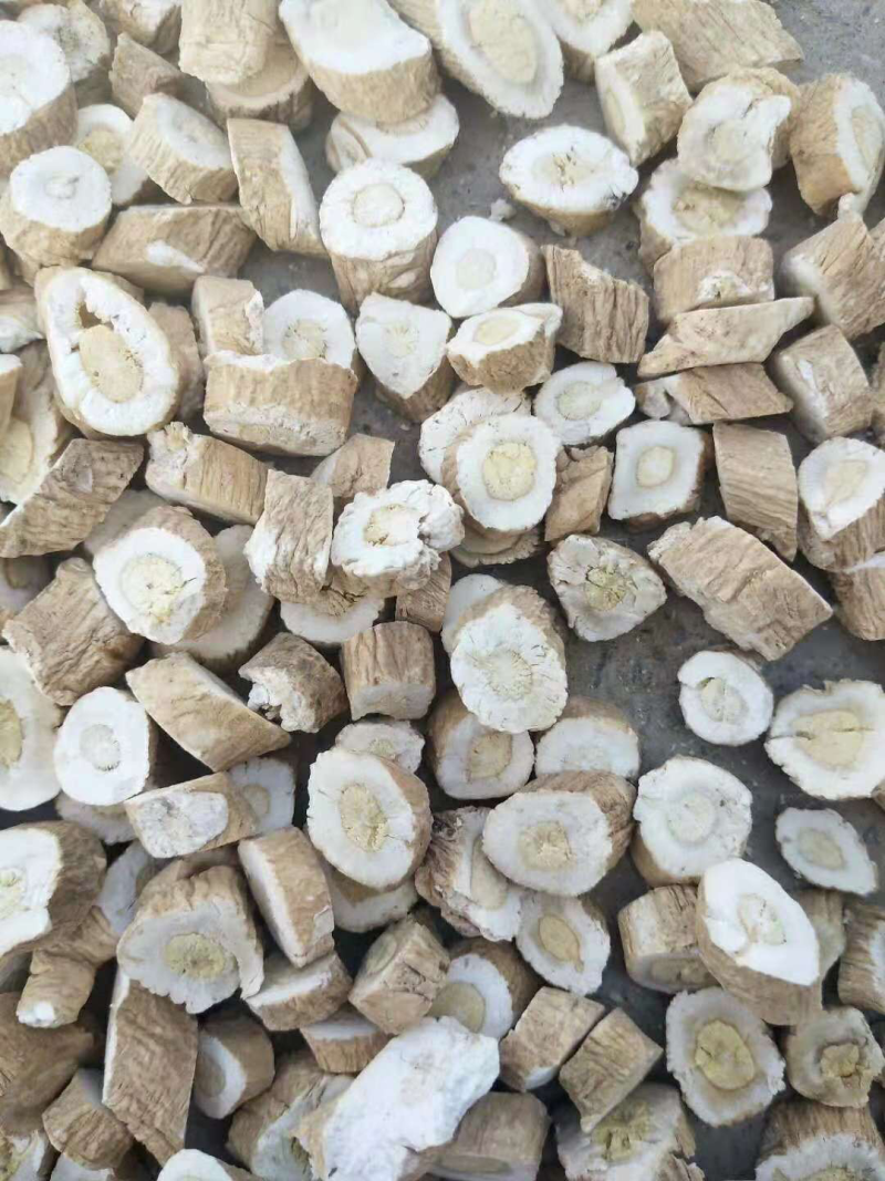 甘肃酒泉金塔板蓝根可代办药厂货饮片货大青叶