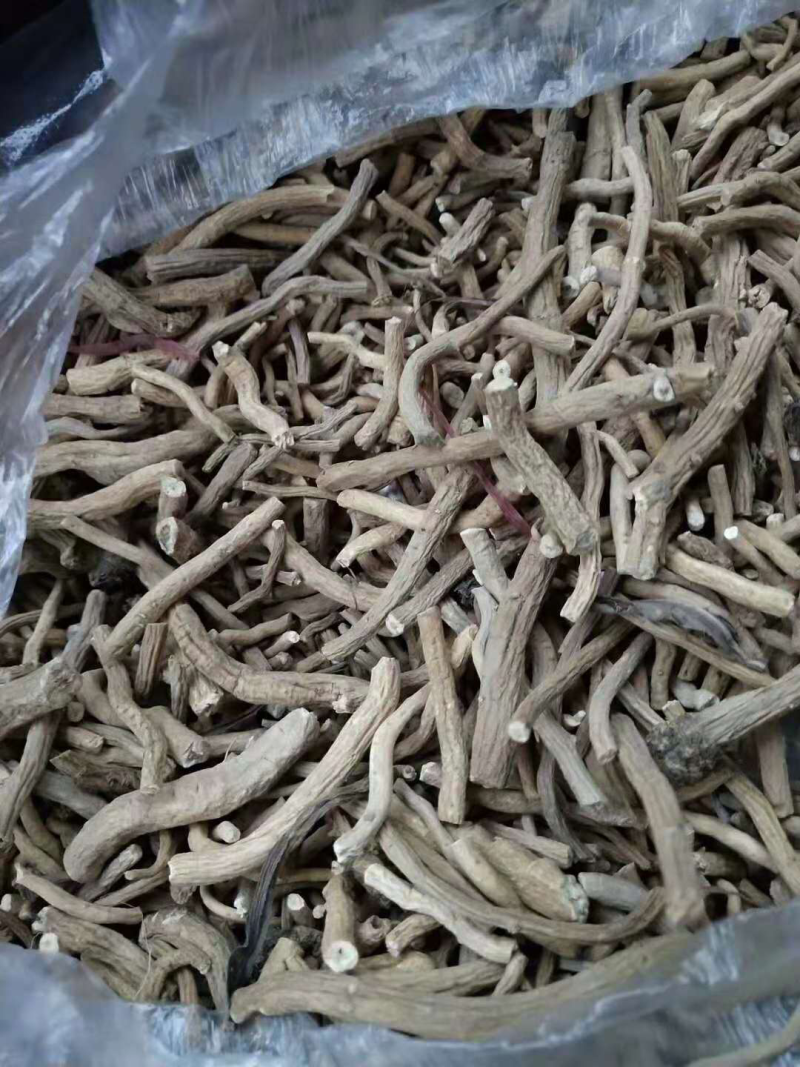 甘肃酒泉金塔板蓝根可代办药厂货饮片货大青叶