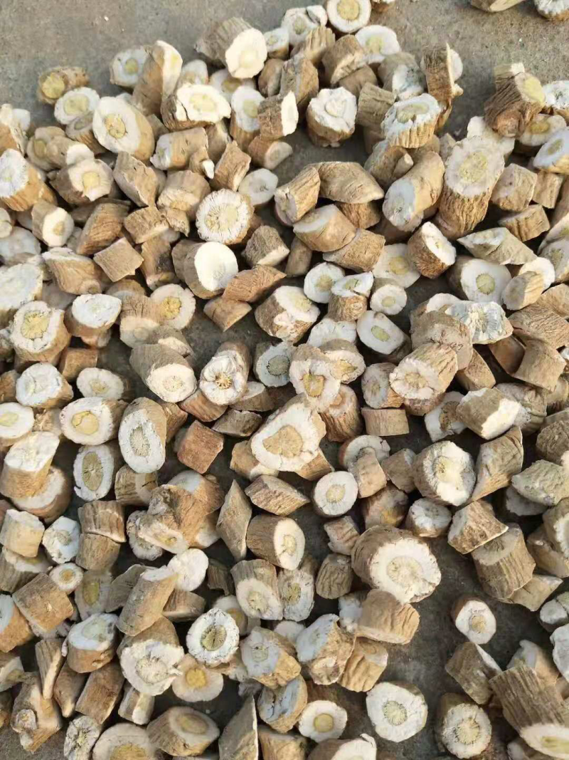 甘肃酒泉金塔板蓝根可代办药厂货饮片货大青叶