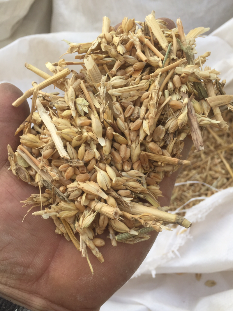 麦糠