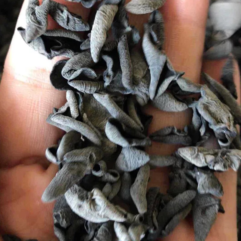 东北小耳，云耳大量批发东北黑木耳支持一件代发