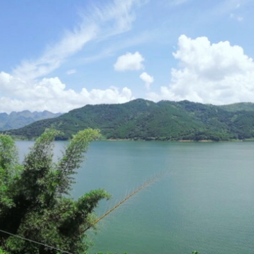 “万峰生态花鲢鱼”，不投放任何饲料