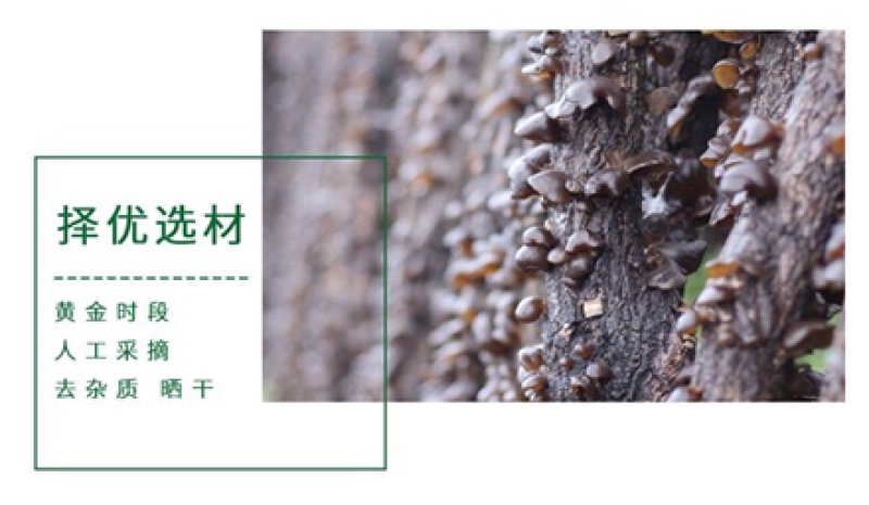 东北黑木耳
