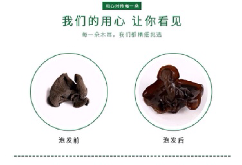东北黑木耳