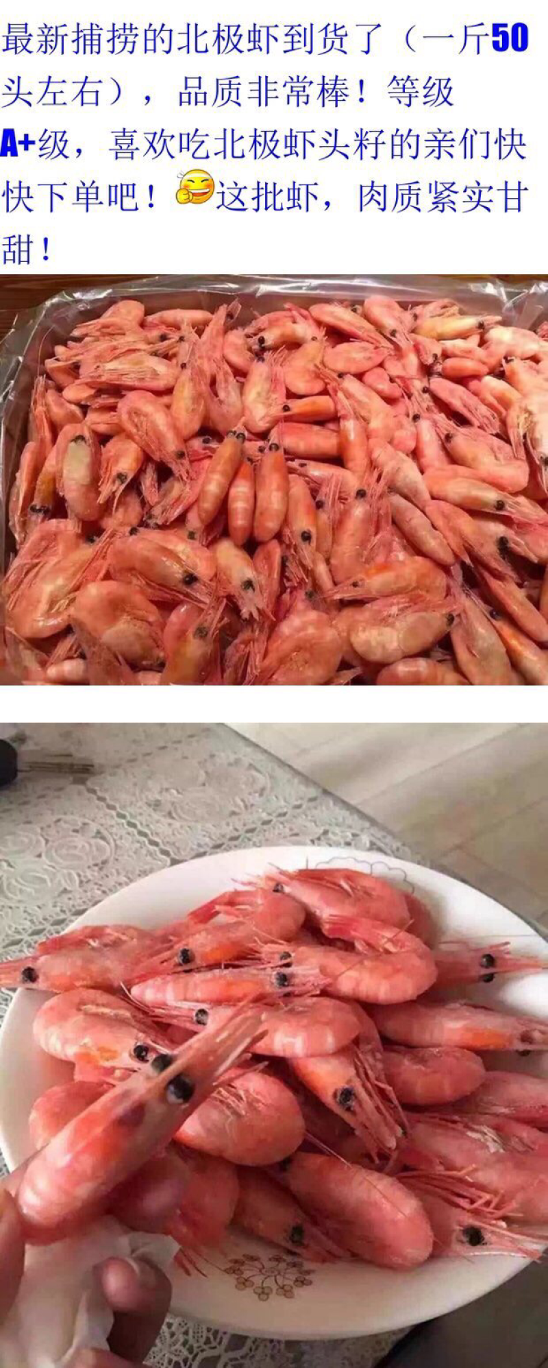北极虾