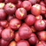 供应早油王桃树苗、果个半斤以上，品种保证，可签合同