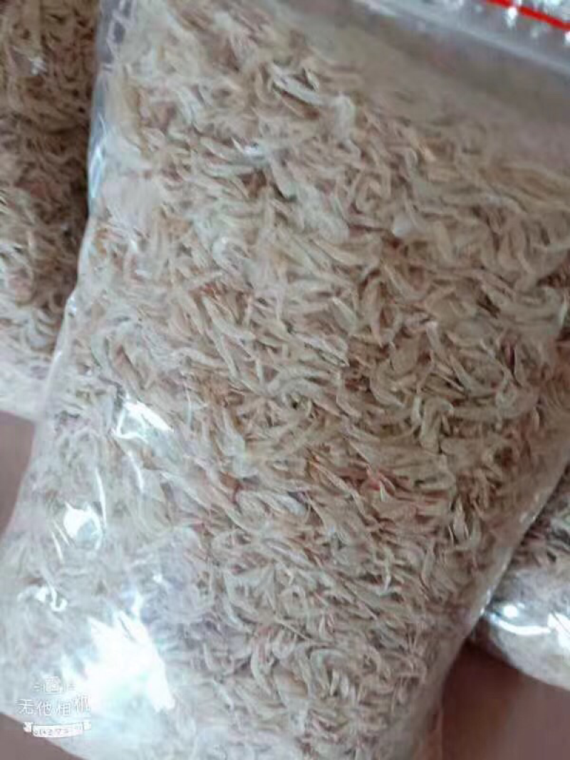 虾皮